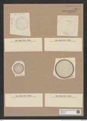 Stictodiscus sp. (de-Toni-Nr.: Genus 205) Zeichnungen Sammlung Grunow Nr. 9067 (NHMW-BOT-W0378815)